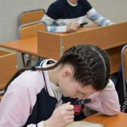 Science Week, Day 2: history brain ring, drinking water quality, rare animals of Primorye