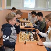 February - the month of sport victories