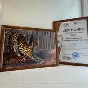 The International Linguistic School has become the Keeper of the Far Eastern Leopard